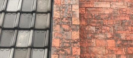 Renovation shopping mall AH XL ClickBrick Oakwood | Nijmegen