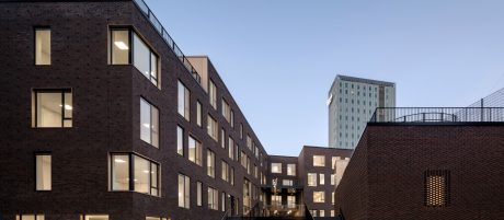 School Building in Copenhagen, Facing Brick - 2.4.78 Brown Devil
