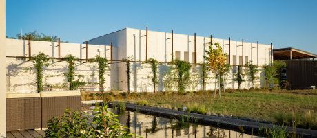 Weinkeller Dorli Muhr