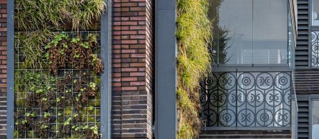 New construction sustainable apartments with Bloemen series project Cascade Alkmaar