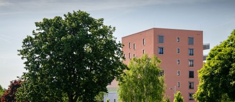 Projekt Wildgarten 8 Geschosser