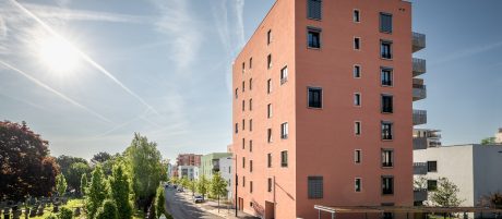 Projekt Wildgarten 8 Geschosser