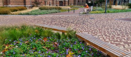 Redesign of public space | Center, Tegelen | Paving bricks: Tegelen mix and the Bruno, Rosa, and Zonnebloem DF