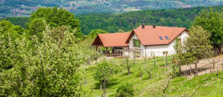 Enostanovanjska hiša Posestvo Monstera 