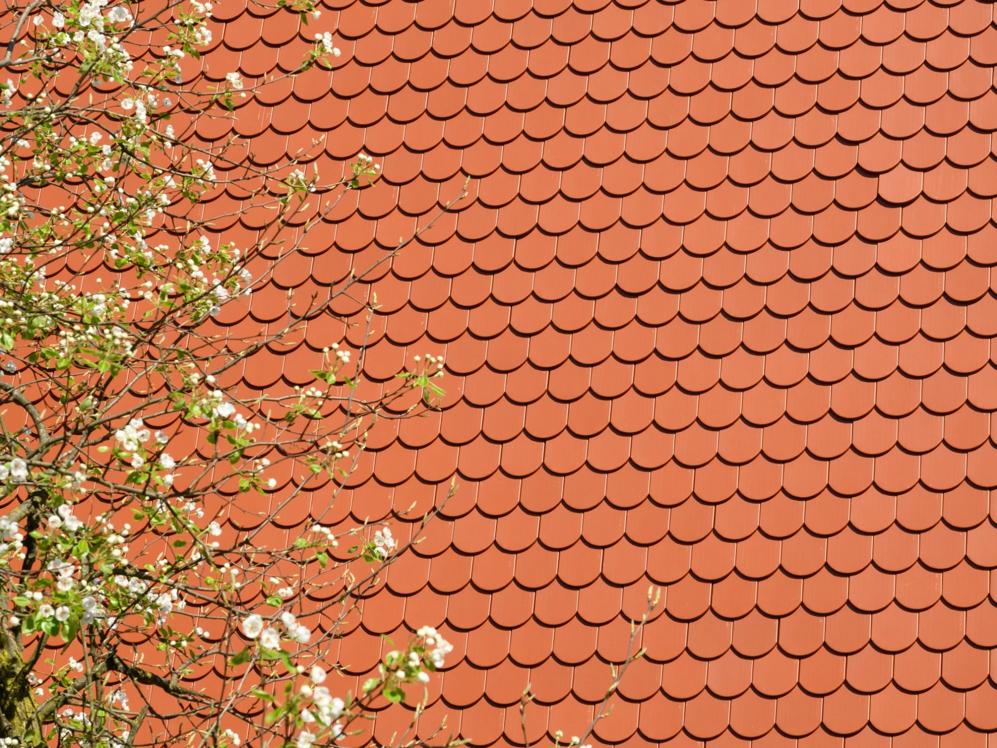 Guesthouse Portal, Ljubljana