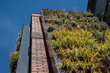 New construction sustainable apartments with Bloemen series project Cascade Alkmaar