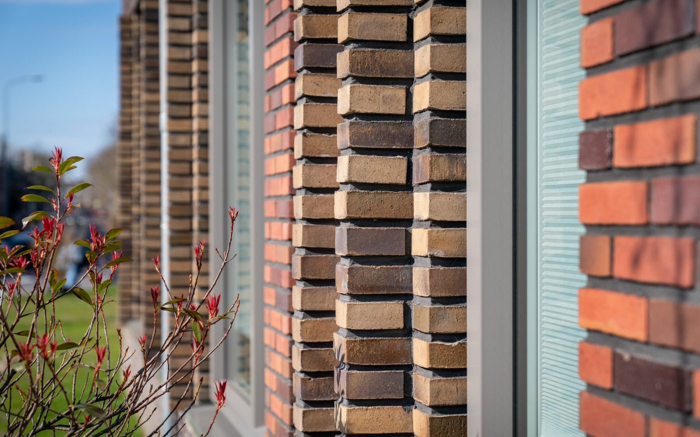 New construction sustainable apartments with Bloemen series project Cascade Alkmaar