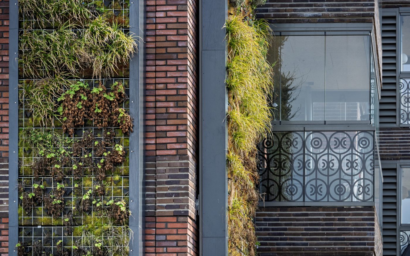 New construction sustainable apartments with Bloemen series project Cascade Alkmaar