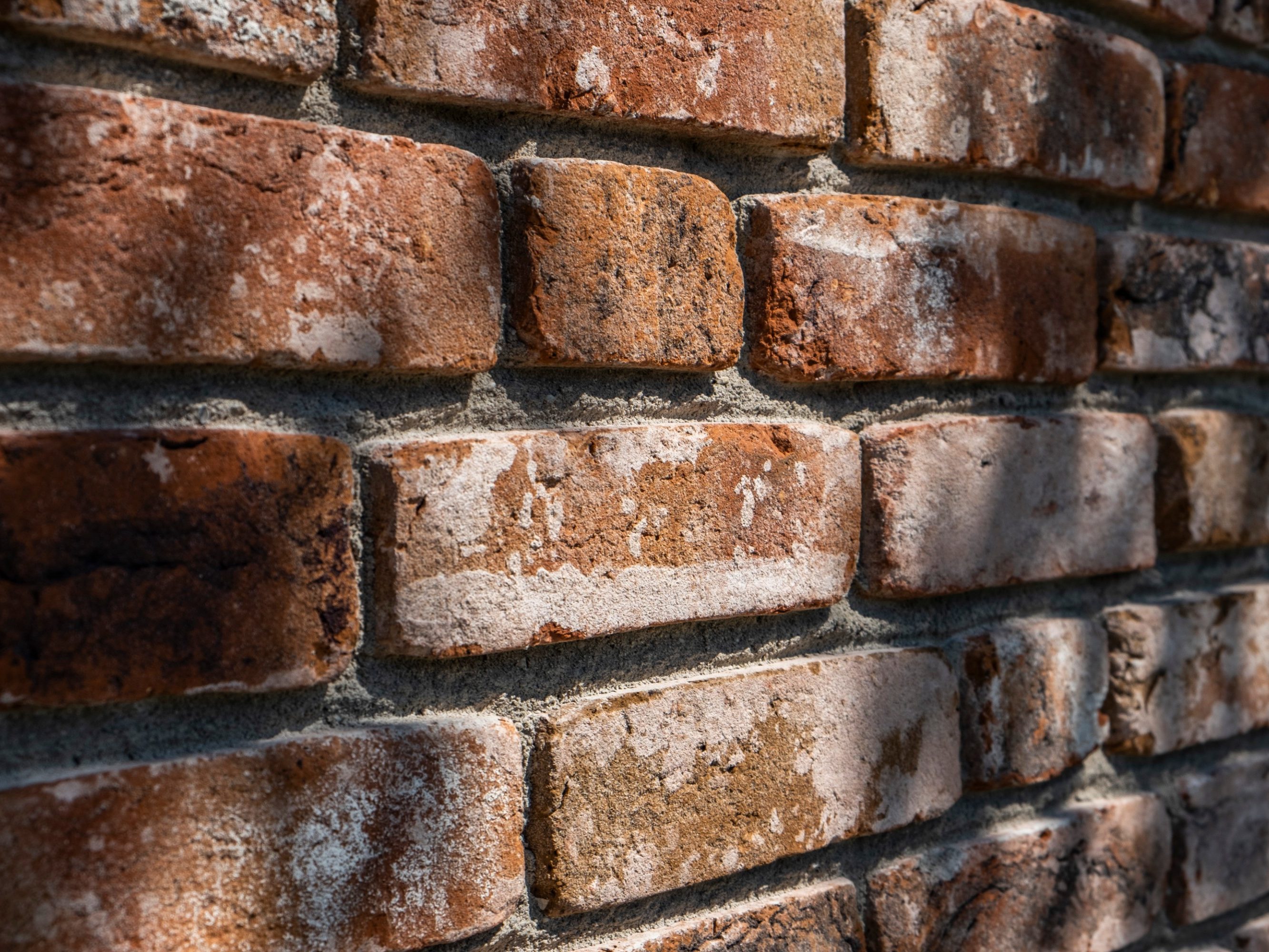 Retro Vormauerziegel, Rustica Olde Wells, Oude-Serie, Umbau, Sanierung, ehemaliger Hühnerstall,, Engelshove Architekten, Haus Görlich, 