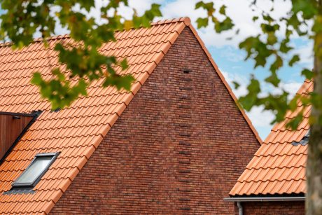 New construction: 28 homes | Irenestraat, Rijssen