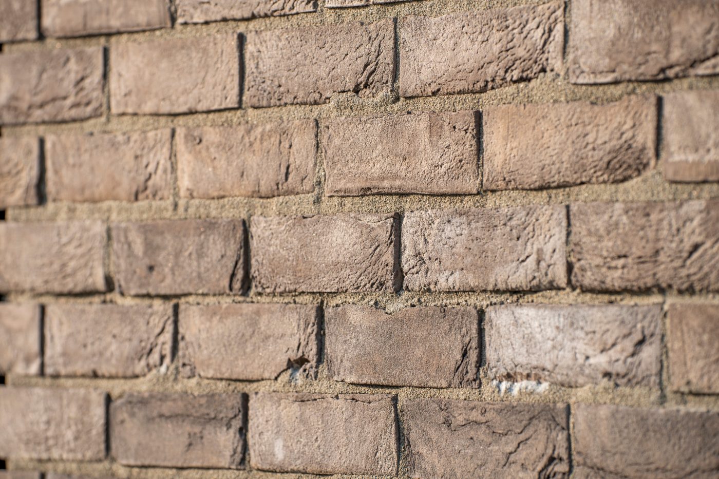 Churchill Square 2022 | Reference Terca