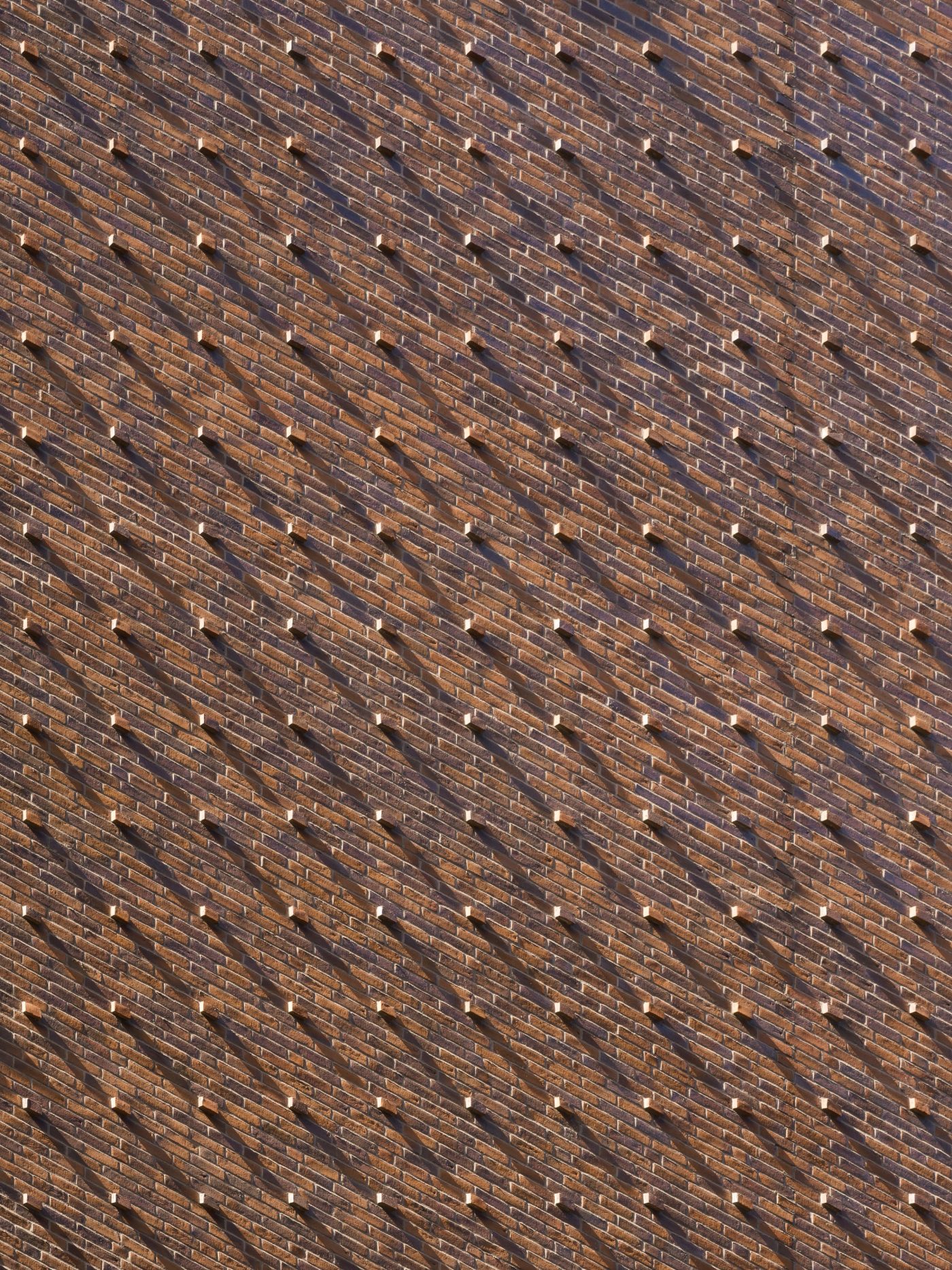 School Building in Copenhagen, Facing Brick - 2.4.78 Brown Devil