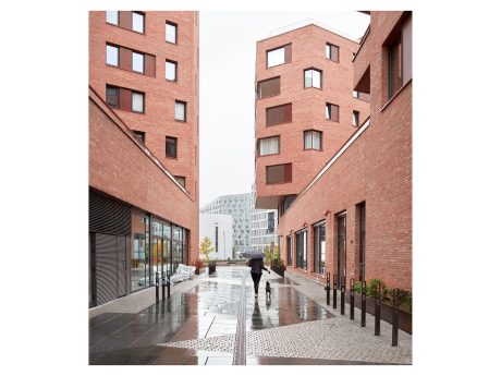 Project Munch Brygge - 06, brick Linnaeus Betula Munch