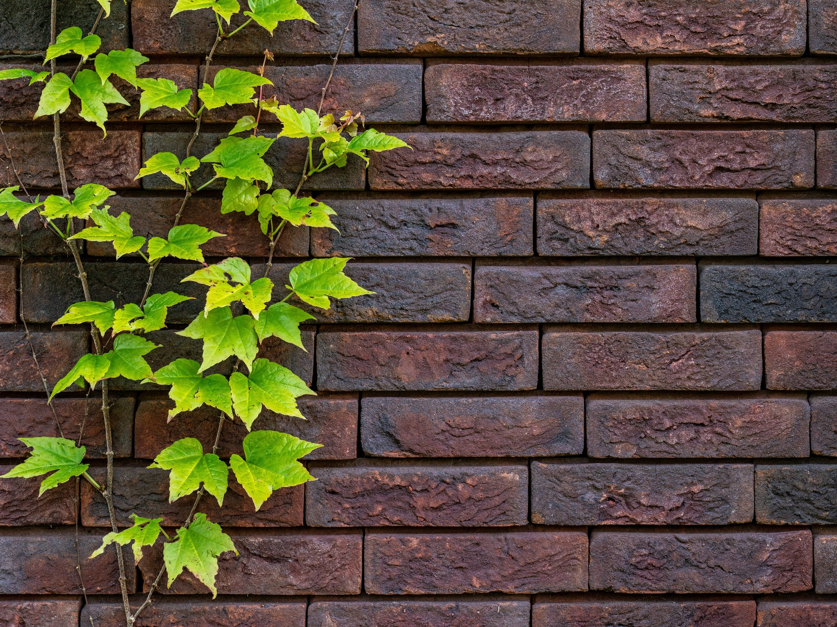 Renovation of an orangery with ClickBrick Pure in Baarn 