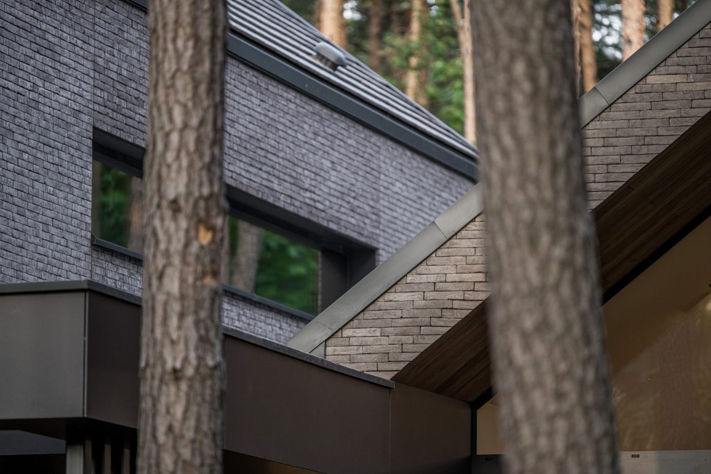 Forest Inspired House, Z3Z Architekci, Koramic Orea 9 grey engobe , Terca Iluzo grey