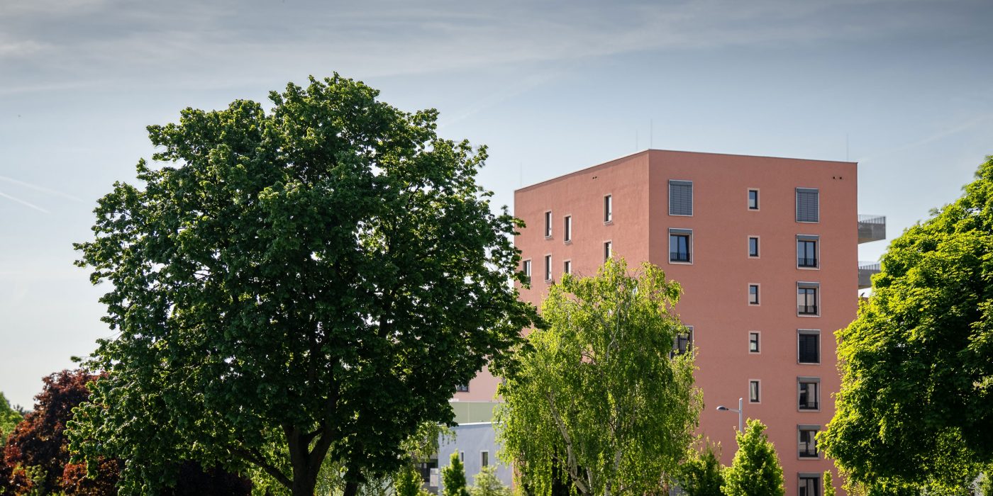 Projekt Wildgarten 8 Geschosser