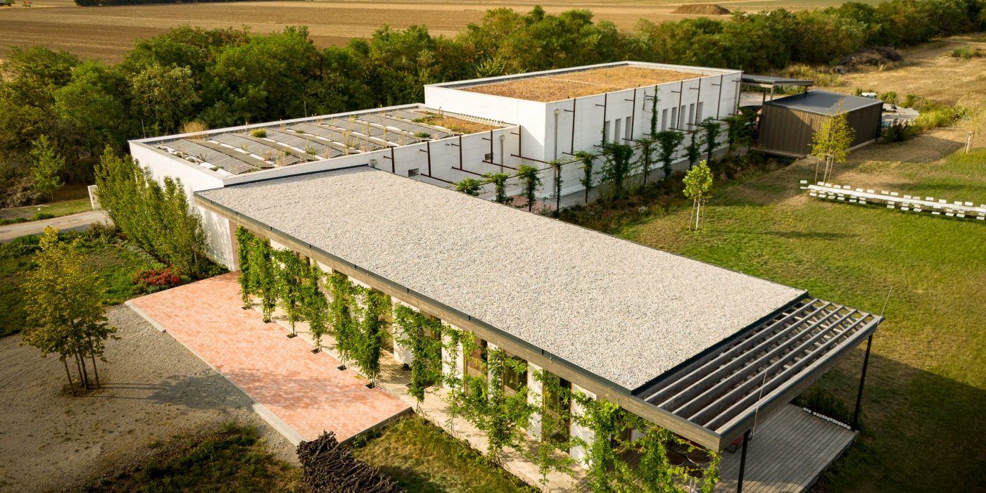 Weinkeller Dorli Muhr