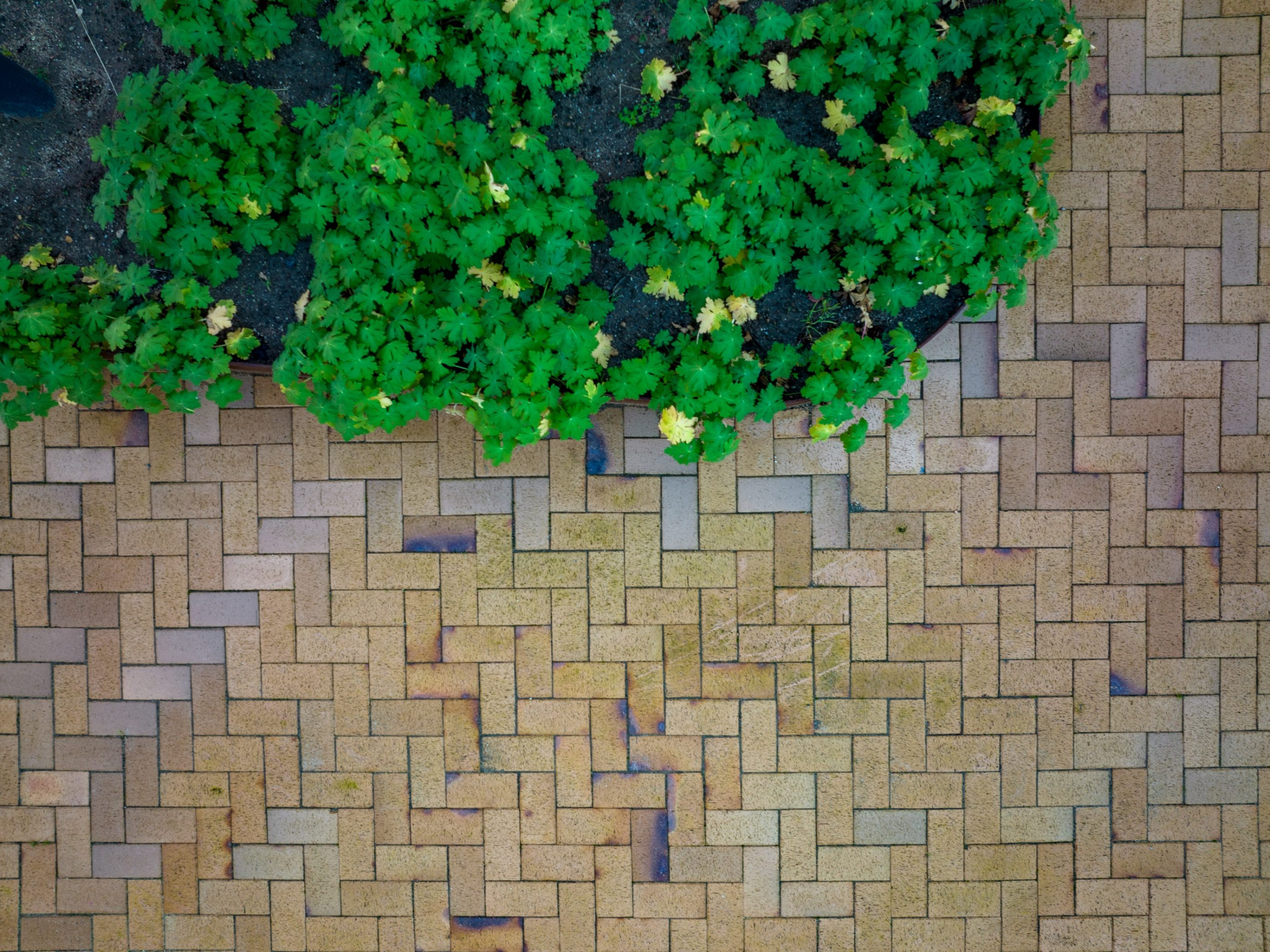 Pavers - Odense med kul - Kongens Karré, Denmark