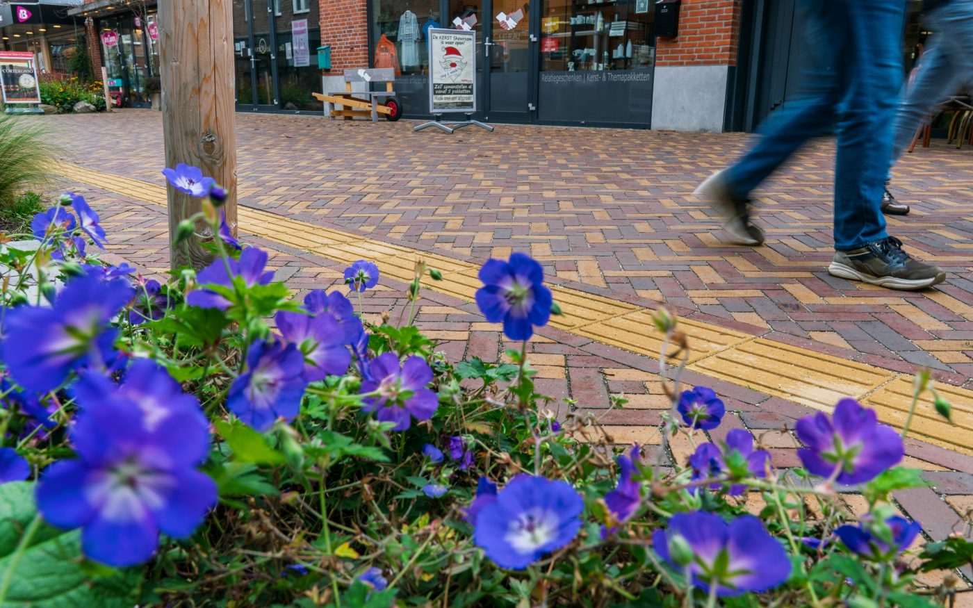 Redesign of public space | Center, Tegelen | Paving bricks: Tegelen mix and the Bruno, Rosa, and Zonnebloem DF