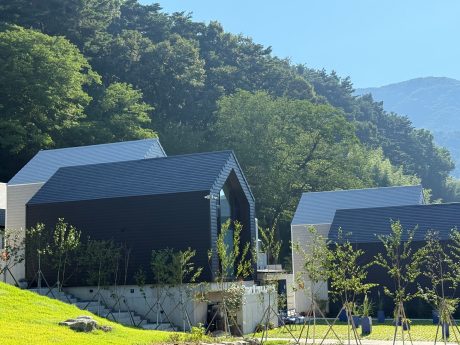 Guest House Damneuru_architectum 42