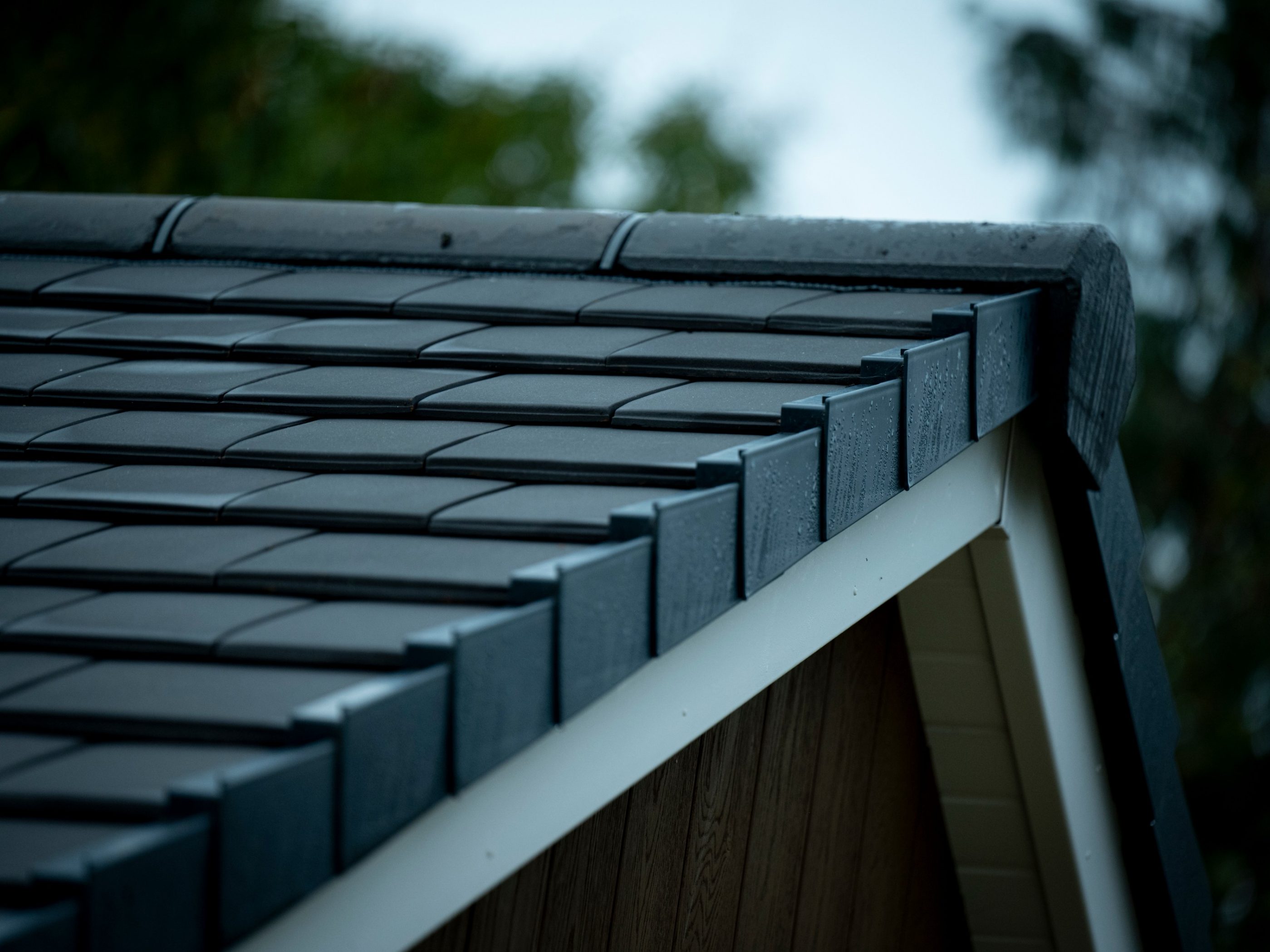 Eco Brick, Roof project