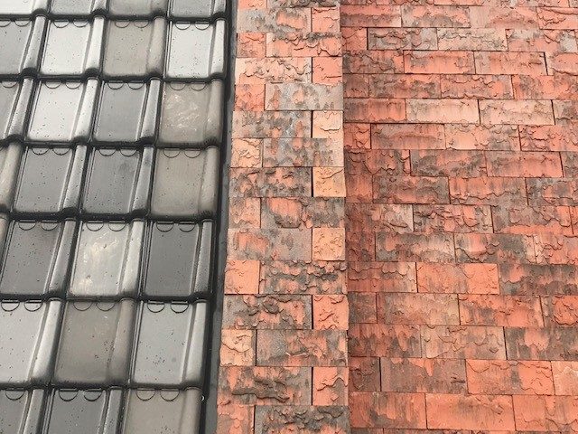 Renovation shopping mall AH XL ClickBrick Oakwood | Nijmegen