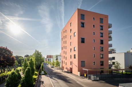 Projekt Wildgarten 8 Geschosser