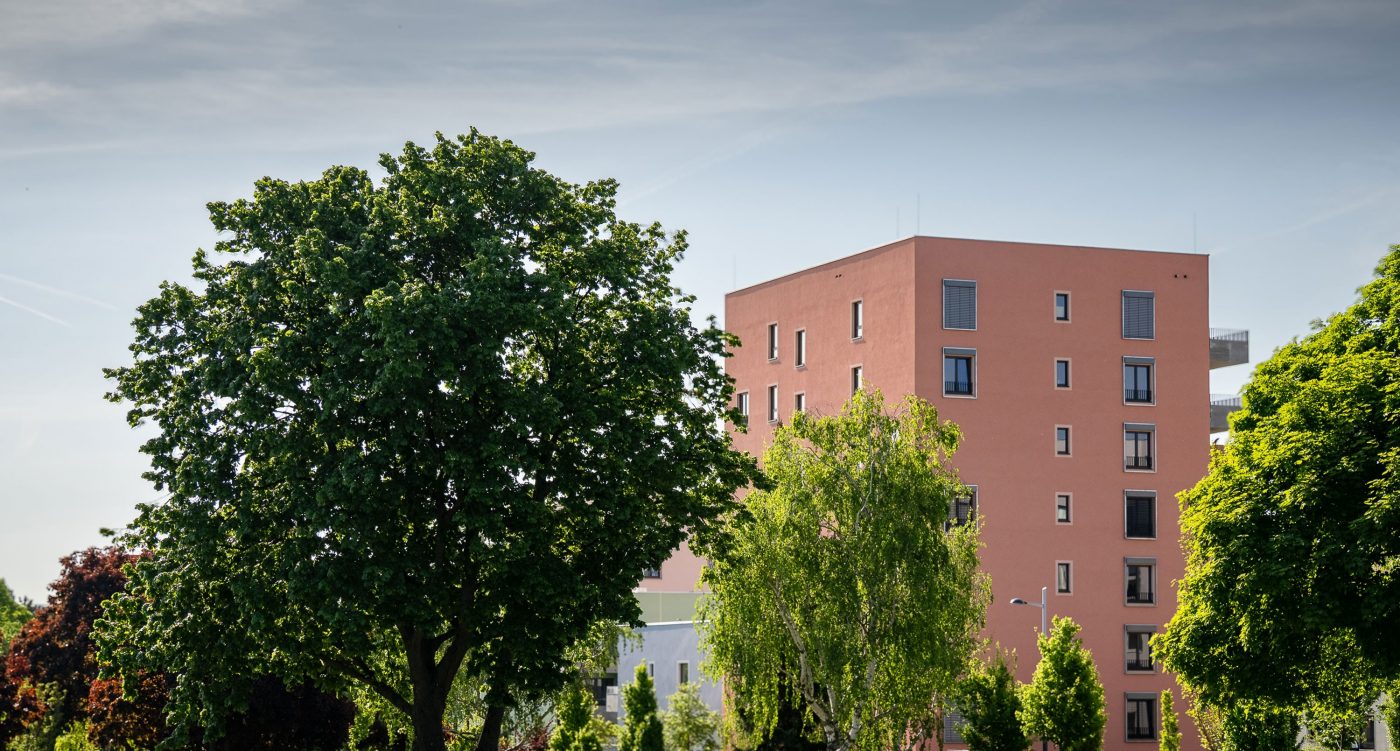 Projekt Wildgarten 8 Geschosser