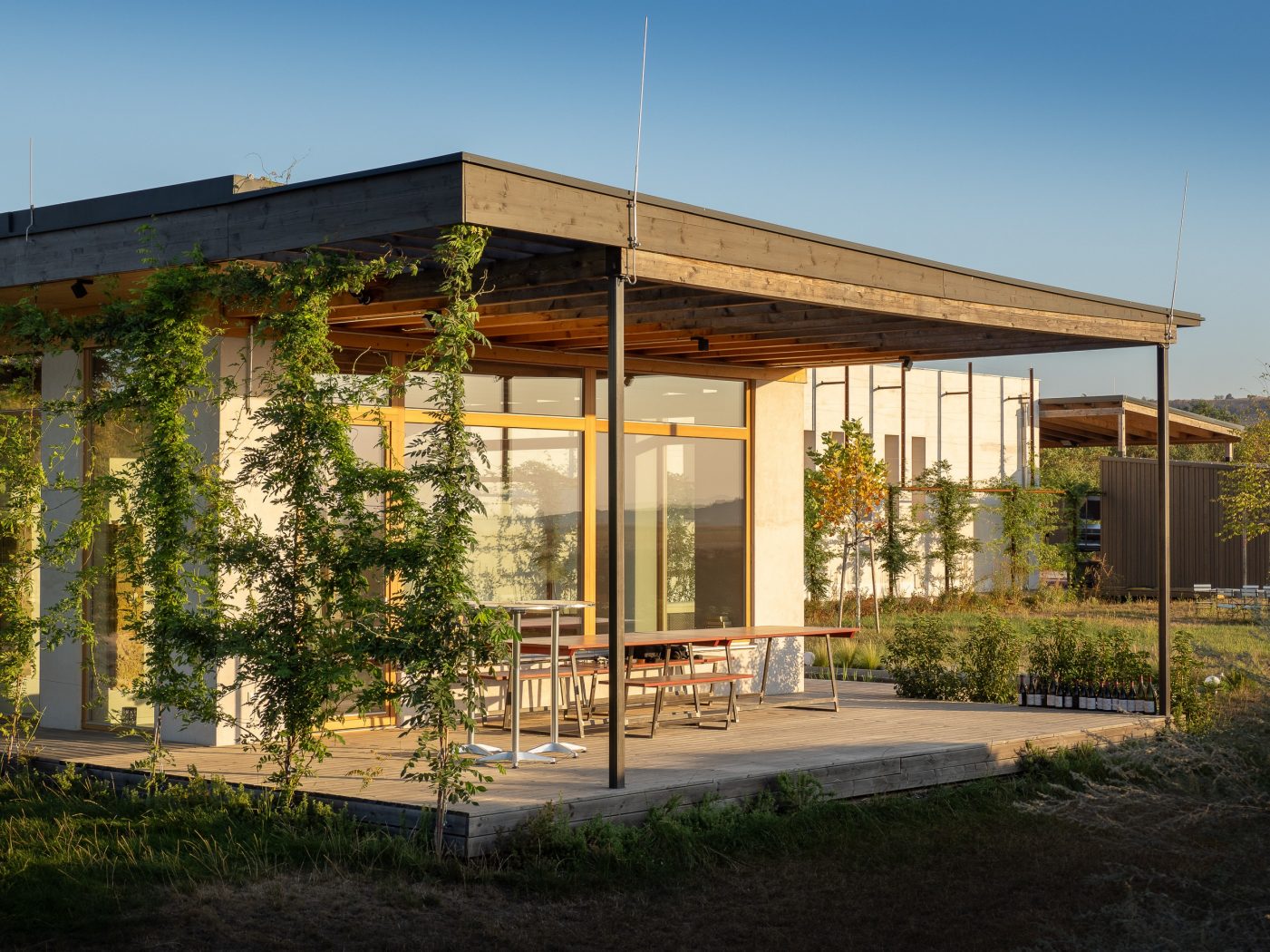 Weinkeller Dorli Muhr