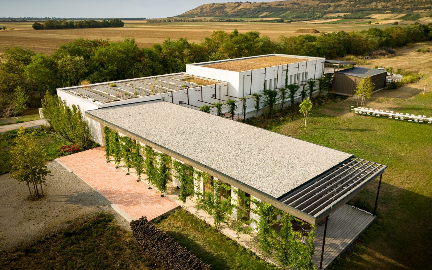 Weinkeller Dorli Muhr